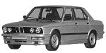 BMW E28 P295A Fault Code